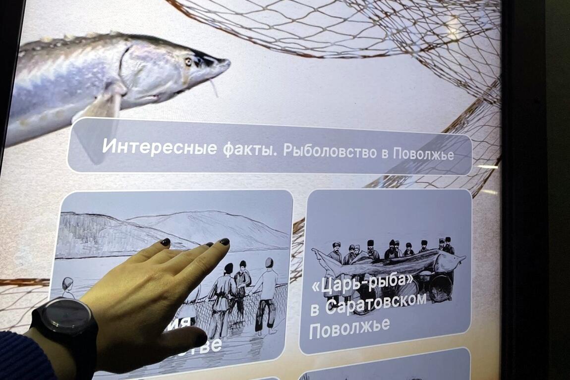 Новый мультимедийный проект!