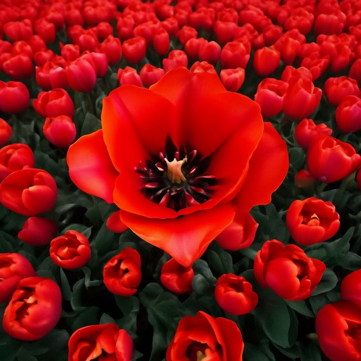 Изменения в графике работы в связи с акцией Ночь музеев 2024